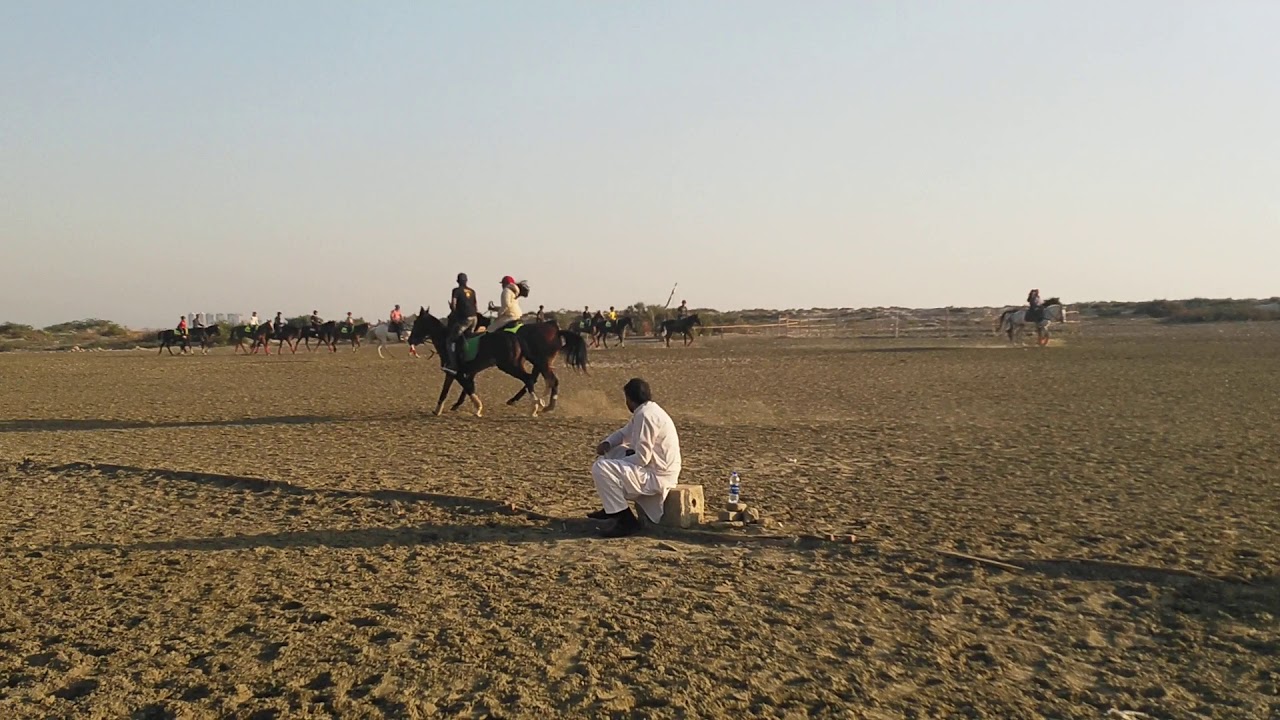 Horse riding in Karachi(3) YouTube