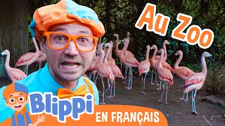 Blippi nourrit et joue avec les animaux au zoo | Blippi en français | Vidéos éducatives pour enfants