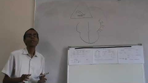 Physiology CVS (ABP +Regulation of blood pressure) Dr Mohamed Fayez