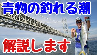 『青物の釣れる潮について』肝は潮流時間の把握！船・陸っぱり両方に通用します！