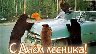 С Днём Лесника!