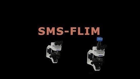 Standard Microscope Spectroscopy (SMS) FLIM