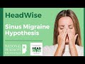 Sinus migraine hypothesis