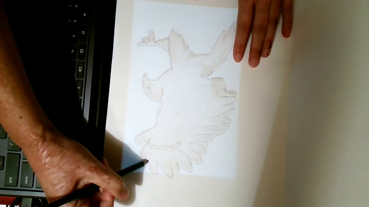 How to Use your Chromebook as a Light Table YouTube