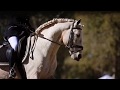 Rescue Me | Equestrian Music Video