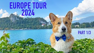 TRAVELING THE WORLD! - Topi the Corgi