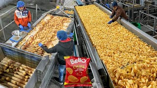 Factory Making of Potato Chips?? इस तरह बनाए जाते हैं आलू के चिप्स?? Indian Street Food | Hathras