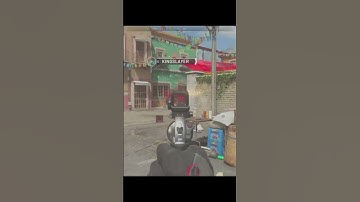 Modern Warfare 2 - basilisk moment