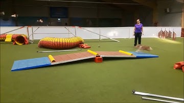 How to teach running contact to A-frame