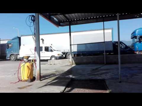 ტუსოვშიკი ძაღლი