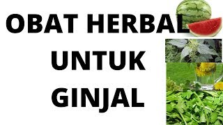 SUDAH TERBUKTI !!! 12 Obat Herbal Untuk Ginjal PALING AMPUH