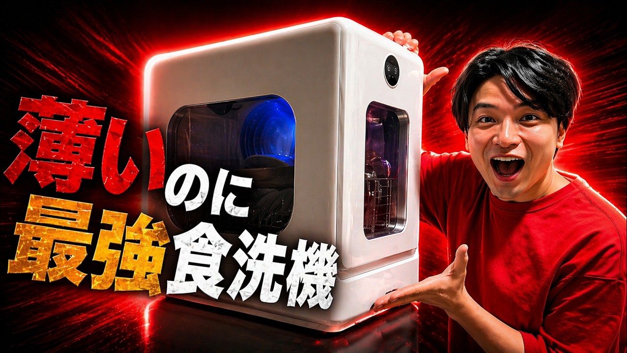 LISSOME 卓上食器洗い乾燥機 【ガチで神】この食洗機（ LISSOME J1 