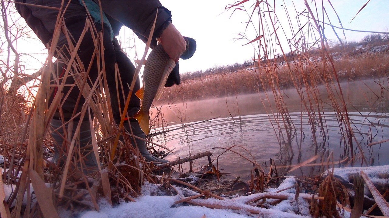 САЗАНЫ И КАРАСИ В ФЕВРАЛЕ !!!