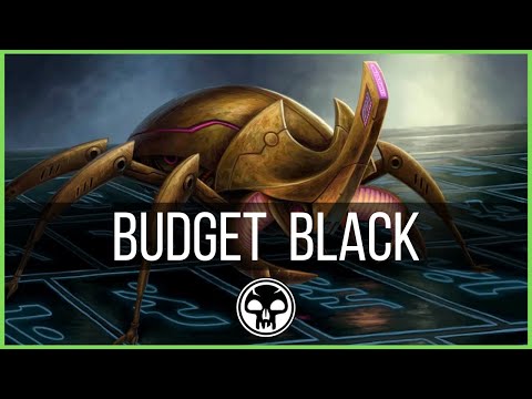 Budget Black