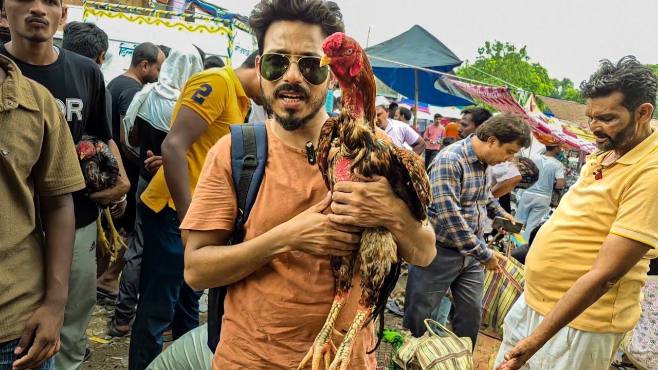 Jama masjid aseel murga market delhi 🔥 | top quality aseel murge | 20 July 2025