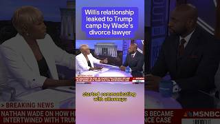 Willis relationship leaked to Trump camp by Wade's divorce lawyer