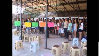 Kolektif Kampı'nda üniversiteliler, Artvin Cerratpaşa'da yeşilini koruyanları selamladı