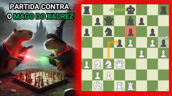 Capivara do Xadrez streams chess •