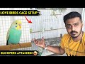 Simple Love Birds Cage Setup 😍 | Breeding Lovebirds | Lovebirds Aviary | Bloopers Attached 🤣