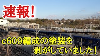 伊豆急3000系C609編成（1編成目）が塗装を剥がしてた！