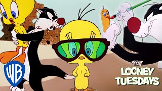 Looney Tuesdays | The Cat & The Canary | Looney Tunes | WB Kids