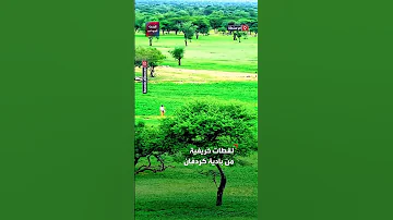 لقطات خريفية ساحرة من بادية أم سنطة الواقعة في ولاية شمال كردفان 