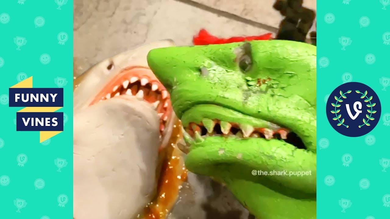 ⁣TRY NOT TO LAUGH - Funny Shark Puppet Instagram Videos!