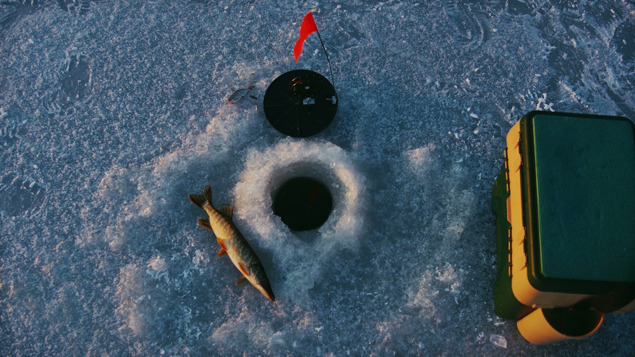 Fish Ice Fishing - Copyright Free Stock Video 4K