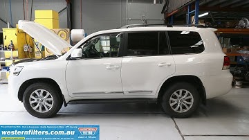Toyota Landcruiser 200 Series Provent 200 Catch Can - How to service !