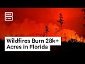Florida Wildfires Burn 29k+ Acres #Shorts