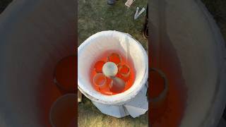 Raku firing process of lobster claw sculpture 🦞🔥 #raku #ceramics #clay #kiln #pottery #handmade