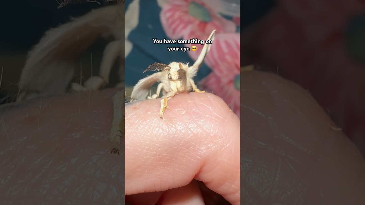 He can’t get it off 