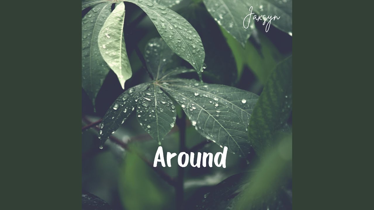 Guarda Bear su YouTube Guarda Bear su YouTube