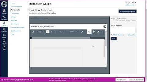 Using Student View in a Canvas Course