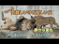のんほいパーク ちょっと気難しいけど優しい父 静かな変化 Earth and His Sons【English Subtitles】Earth-family-Toyohashi Zoo