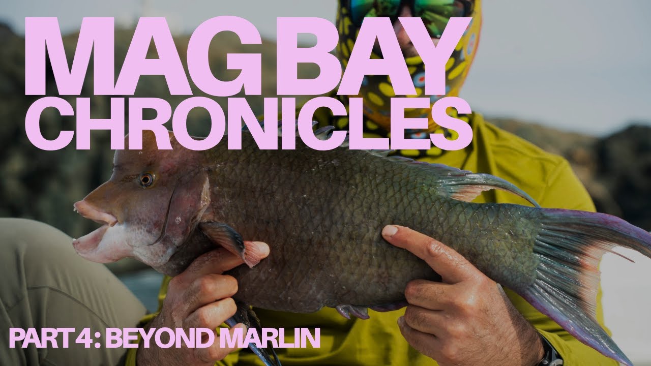 ХРОНИКИ MAG BAY: Рыбалка нахлыстом в Нижней Калифорнии