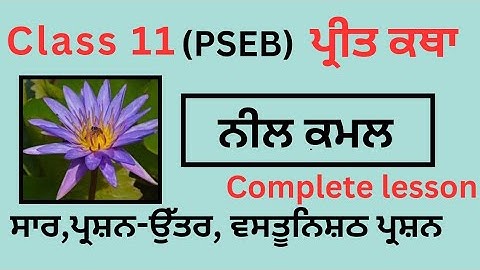 PSEB/Class11/Lazmi Punjabi/Neel Kawal/Saar/question answer/One shot/complete lesson