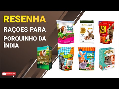 Vídeo: Os porquinhos-da-índia são mais resistentes que os coelhos?