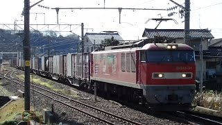 列車番号4091 EF510-21 羽越本線(間島駅)::60P 「間島駅通過。」