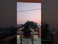 Road to Abs| Day 11 #selfimprovement #minivlog #nepalivlog #fyp #shorts