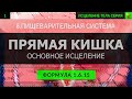 1.6.15 🎧 Здоровье Прямой Кишки, Толстый кишечник ГЛУБОКОЕ ИСЦЕЛЕНИЕ (резонансный саблиминал)