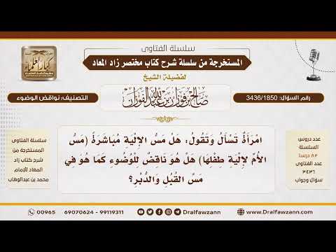 [3436/1850] هل مس الإلية ينقض الوضوء؟