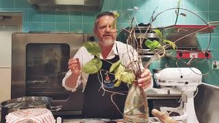 O21 Hennie Fisher Mondia Idombolo