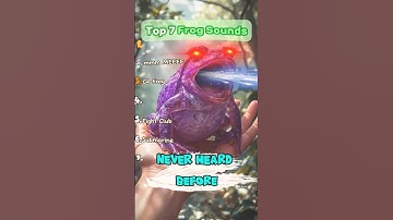 Top 7 Coolest Frog Sounds #funny #memes #frog #top