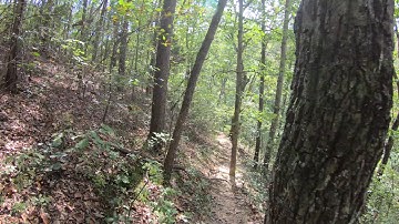 GoPro HERO6 Black 4K30 Stabilization On & Monopod