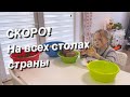 Коротко о погоде/Собираем урожай/Вернемся в Норильск