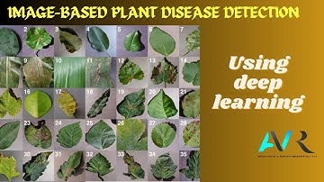 Image Based Plant Disease Detection A Comparison of Deep Learning and Classical