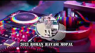 ROMAN HAVASI REMİX 2023 (SAKARYALI GÜRKAN AYLAN FEAT OĞUZ AKDEMİRCİ)#romanhavası #ritimshow #remix Resimi
