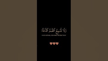 سورة النمل / القارئ الشيخ إسلام صبحي / تلاوة خاشعة تريح سمعك