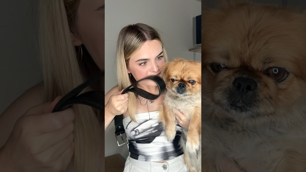 Собачка Попала В Рабство #шортс